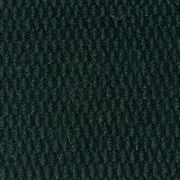 Picture of SPECTRA PIN  4' X 6' GREEN