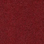 Picture of SPECTRA NYLON 4'X8' (45"X95") RED