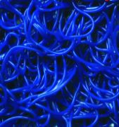 Picture of Duraloop 3/8" Unbacked