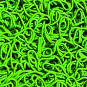 Picture of Duraloop 3/8" Unbacked